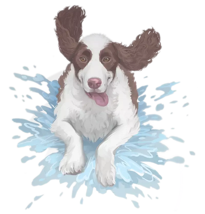 Privátní: illustration.dog.splash.webp