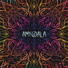 Amygdala - obrázek